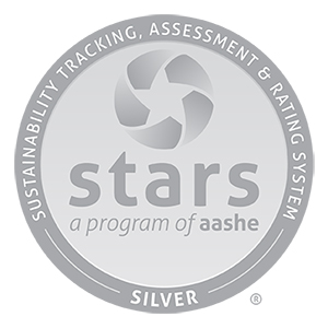 Silver STARS Award